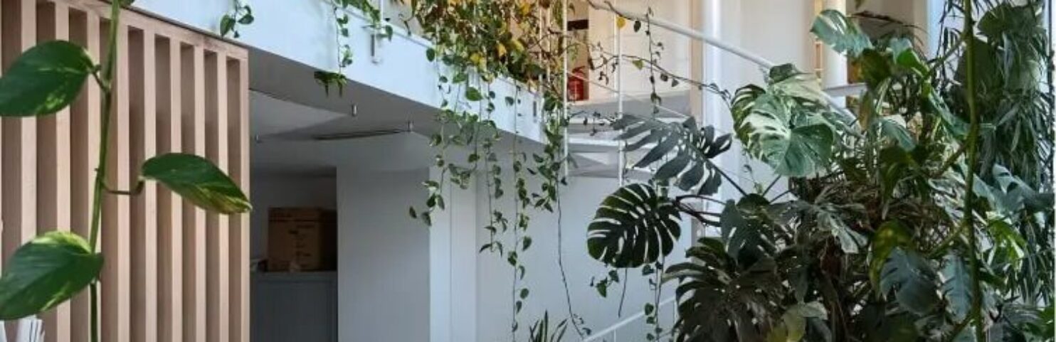 invertica-reforma-cm-iberica.jpg